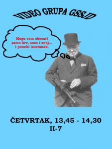 Video grupa